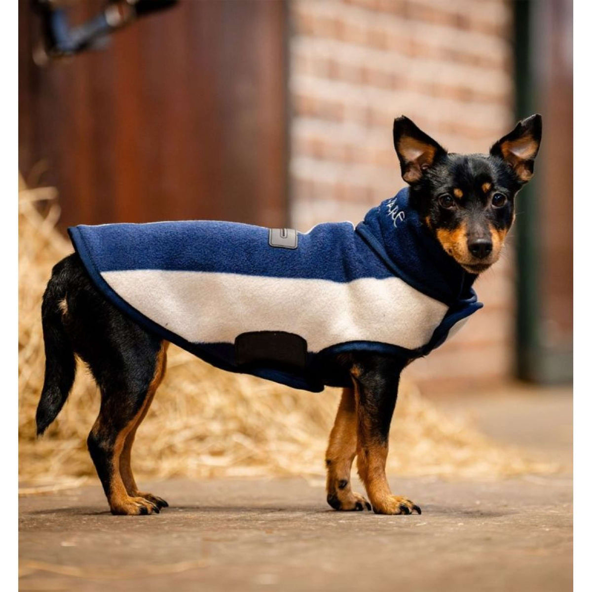 Horseware Dog Rug Signature Fleece Whitney Navy