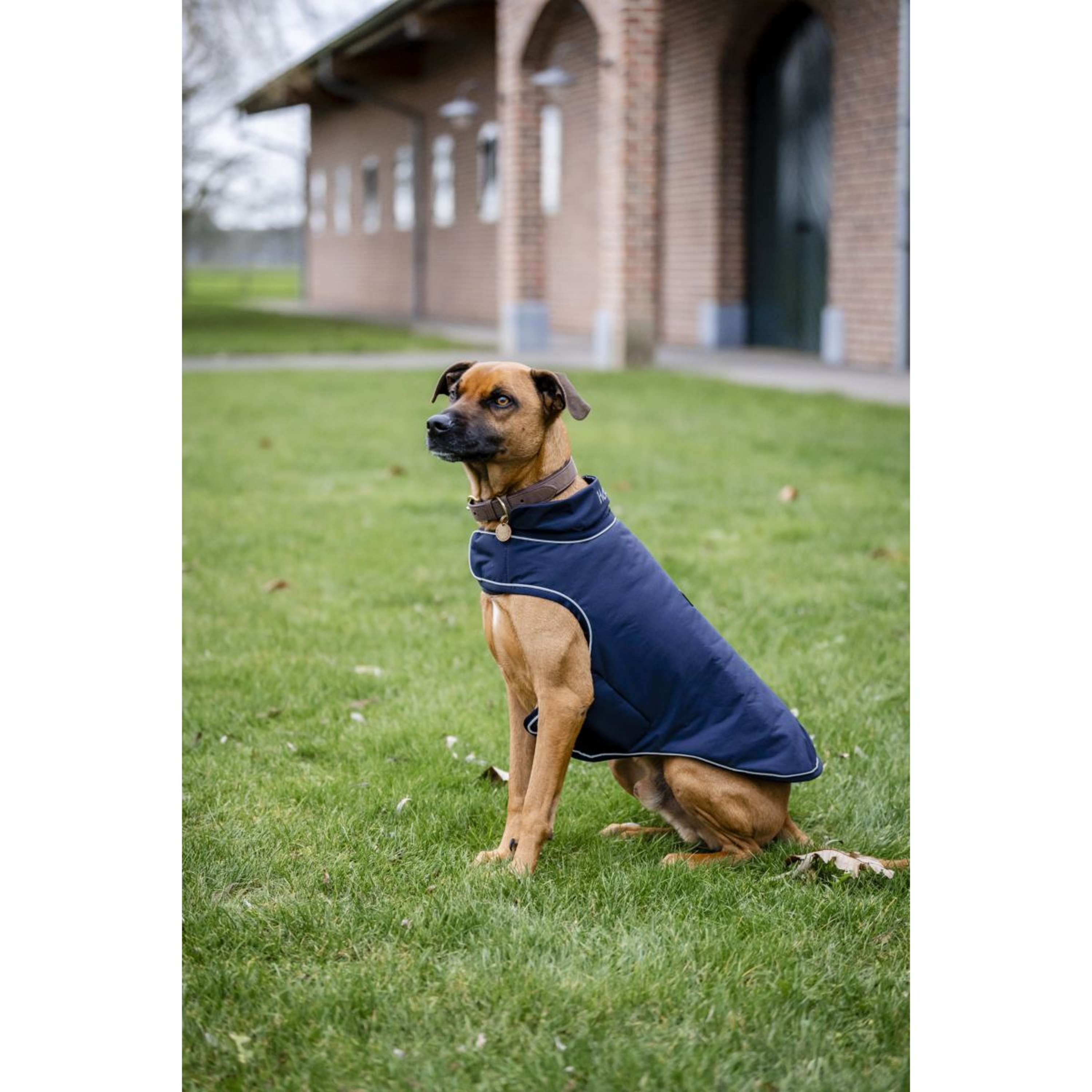 Horseware Dog Rain Coat Signature 100g Navy