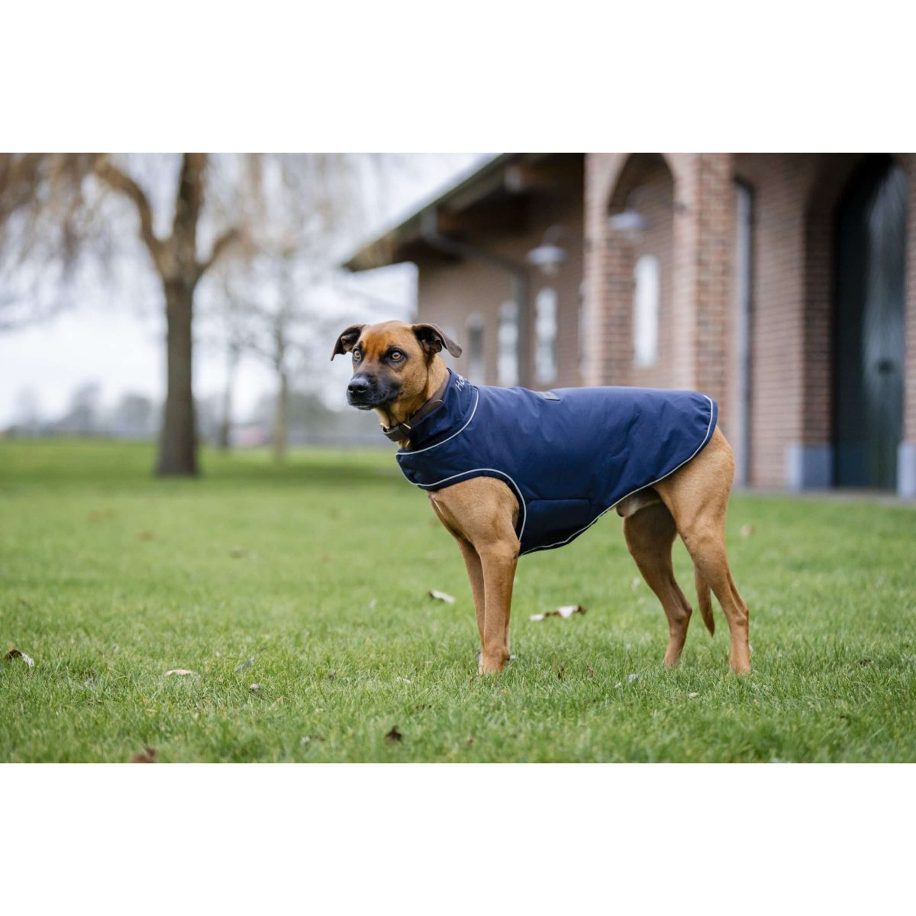 Horseware Dog Rain Coat Signature 100g Navy