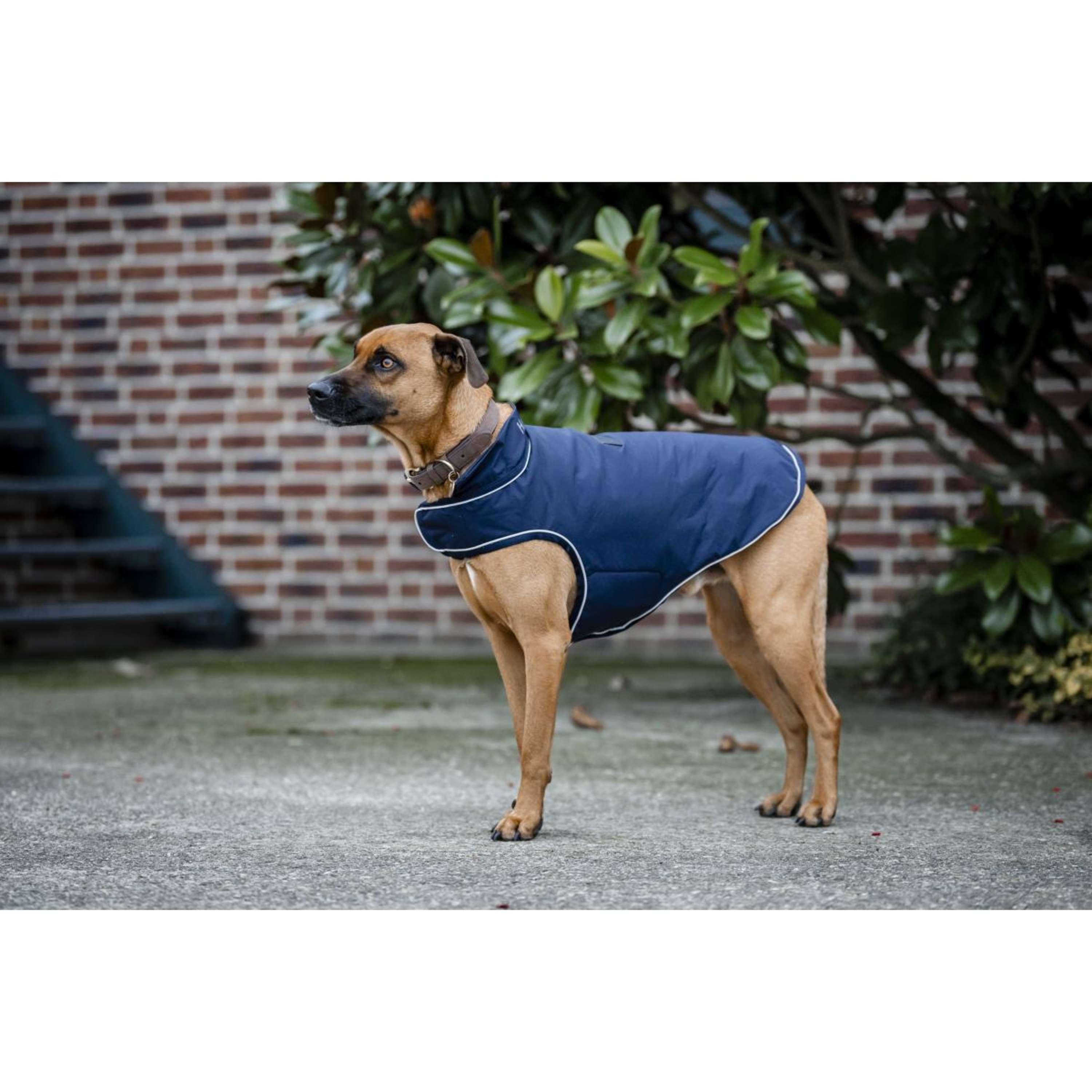 Horseware Dog Rain Coat Signature 100g Navy