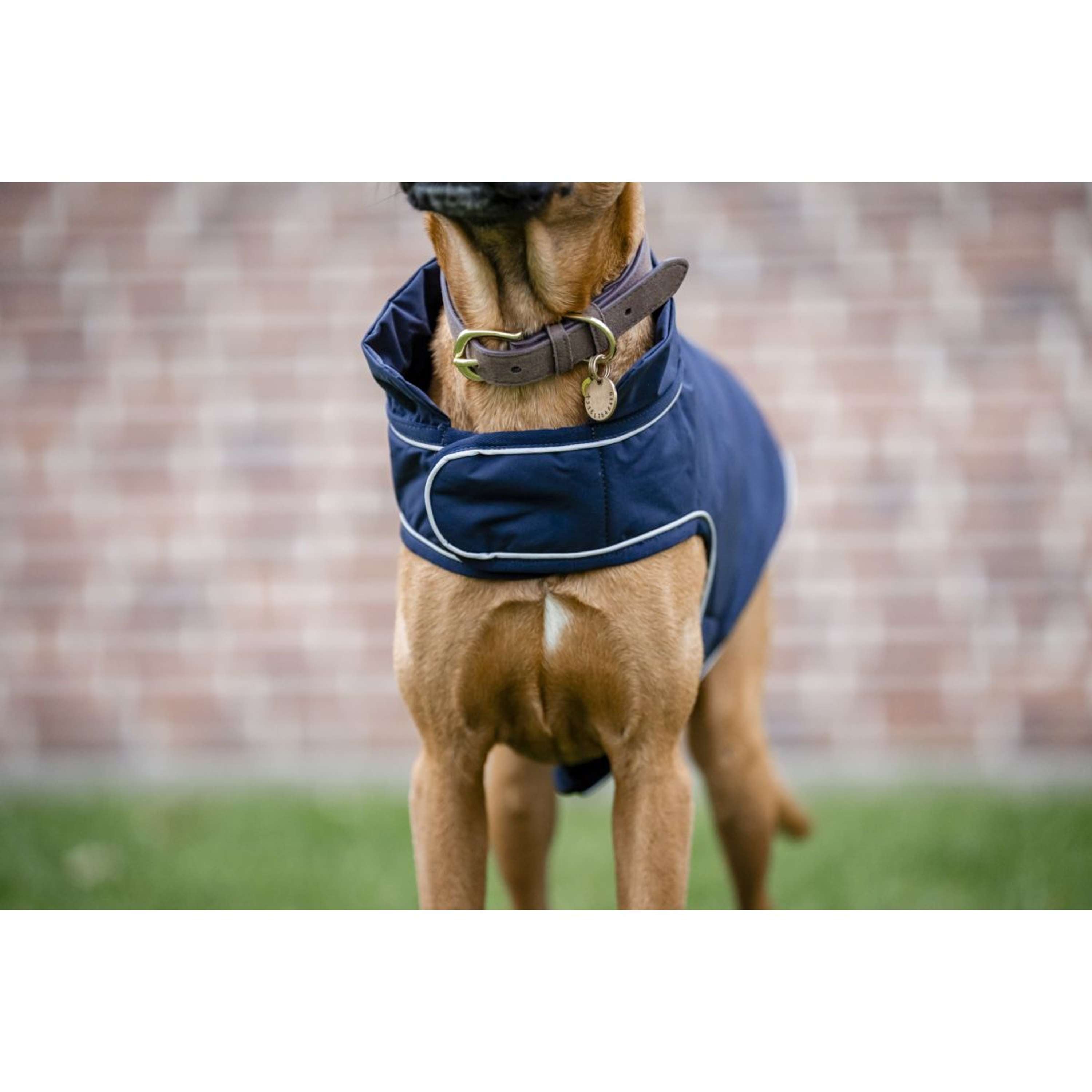 Horseware Dog Rain Coat Signature 100g Navy