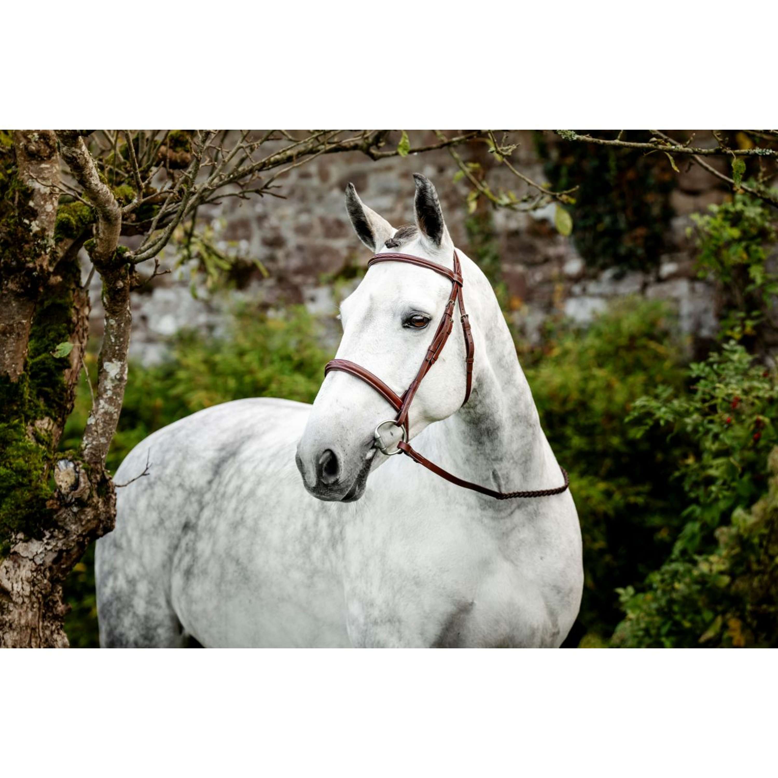 Horseware Bridle Hunter Cavesson with Reins Dark Tan
