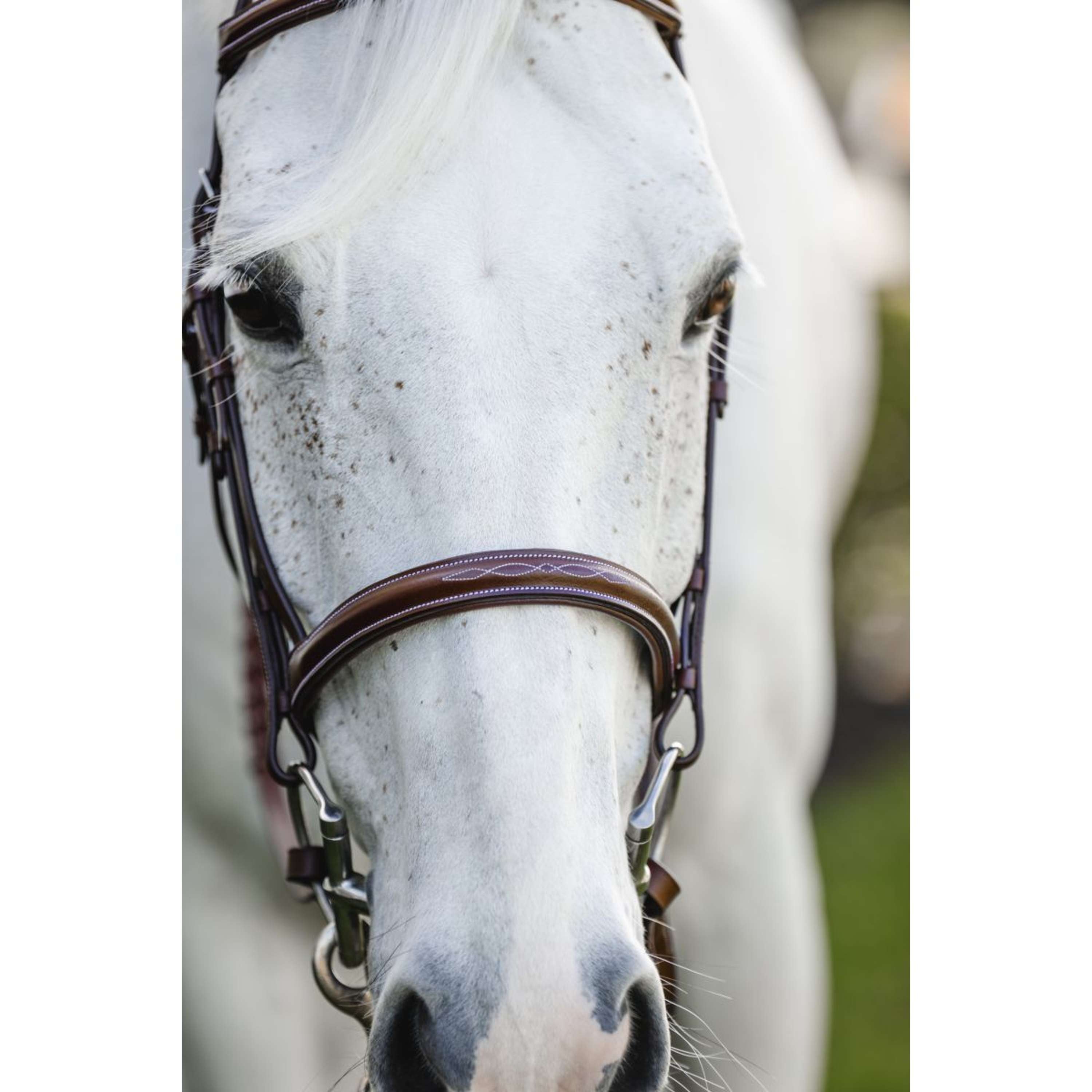Horseware Bridle Hunter Cavesson with Reins Dark Tan