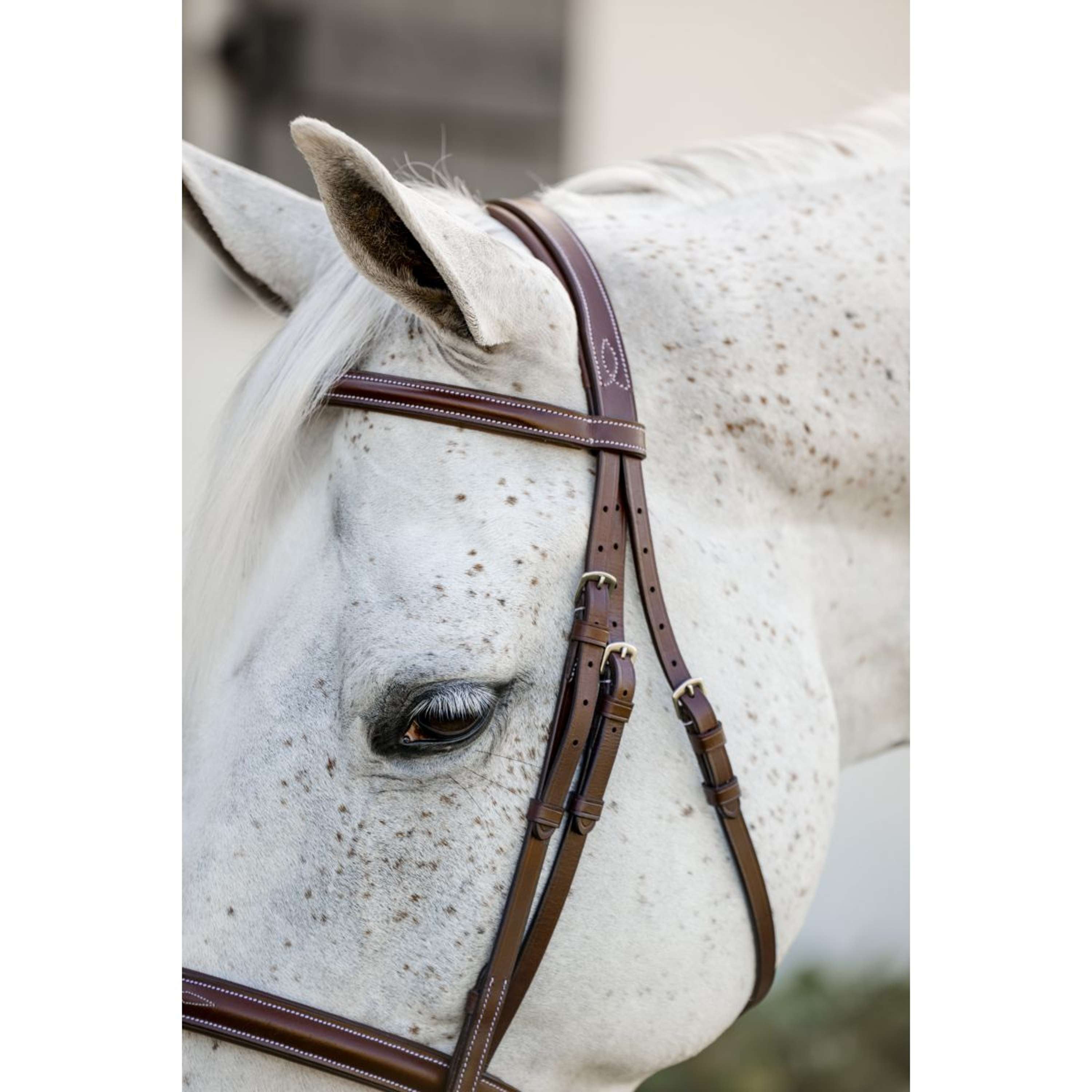 Horseware Bridle Hunter Cavesson with Reins Dark Tan