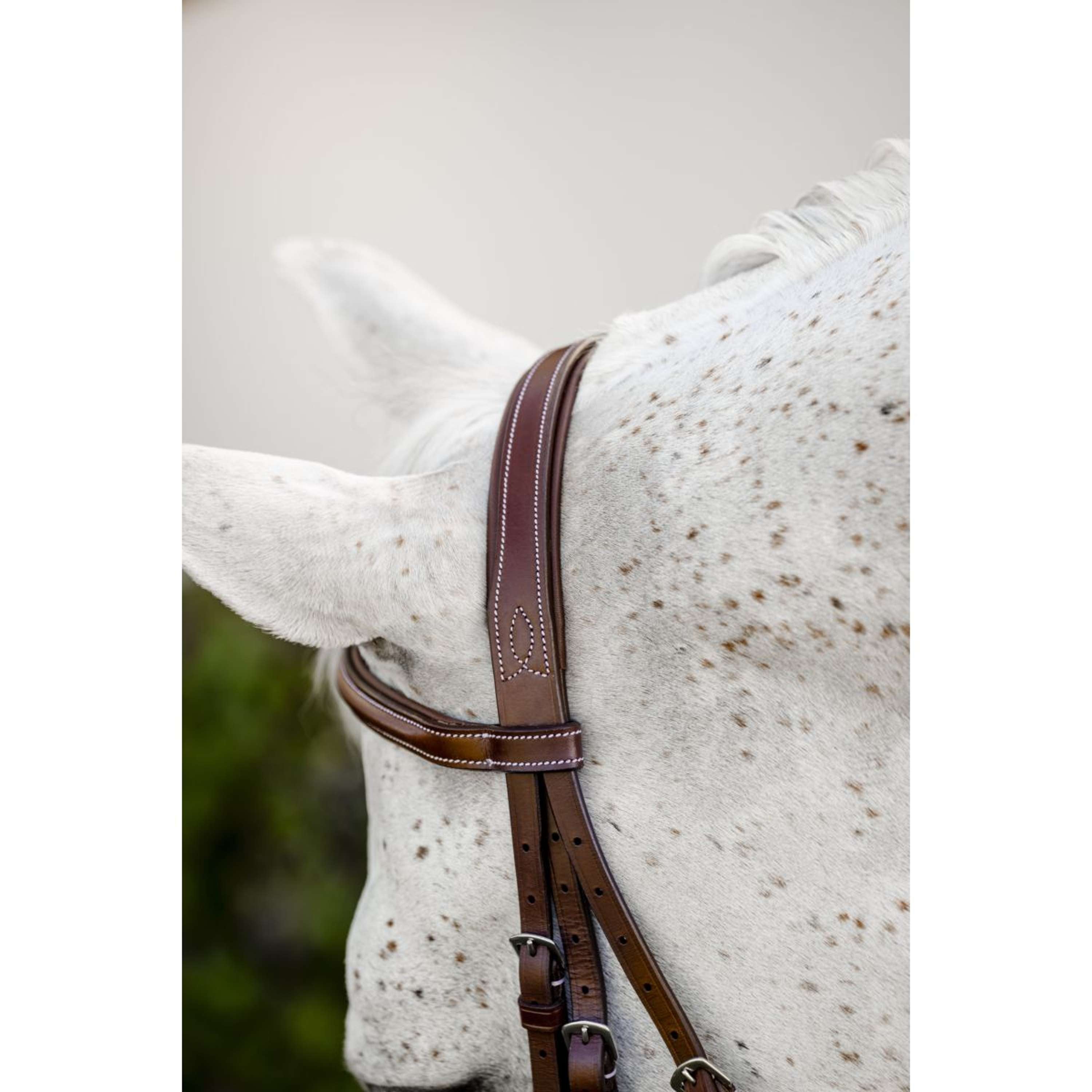 Horseware Bridle Hunter Cavesson with Reins Dark Tan