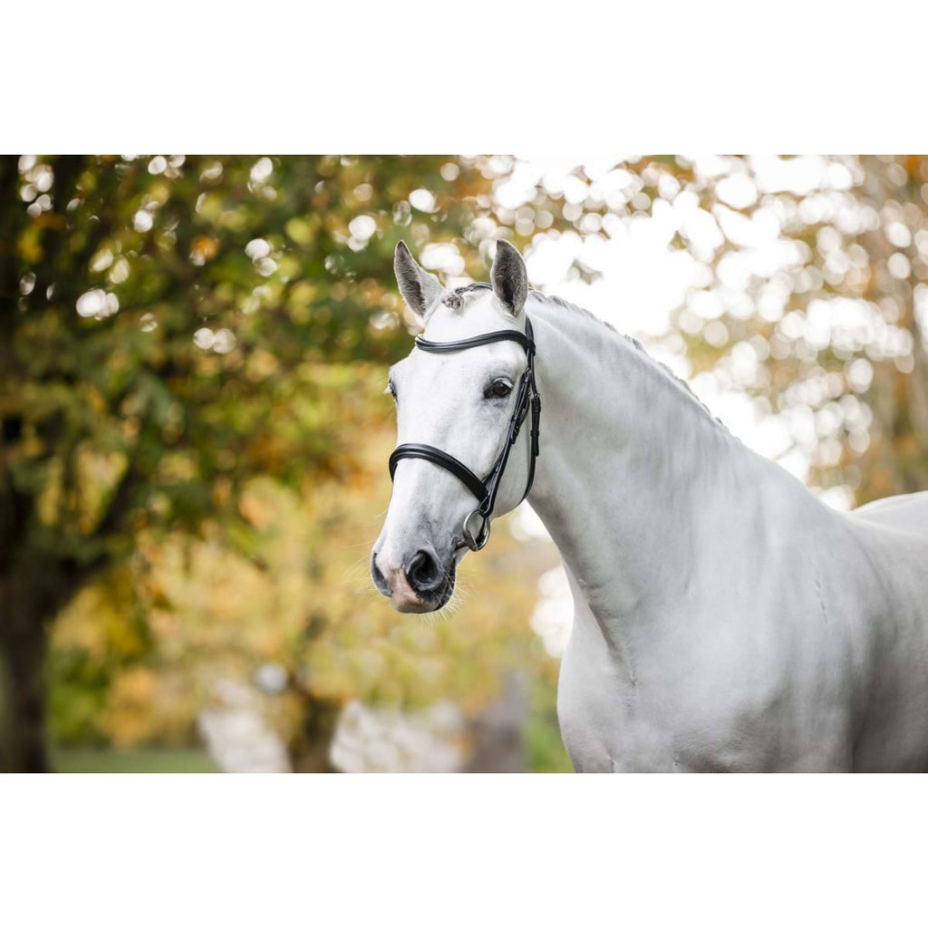 Horseware Bridle Pony Cavesson Black