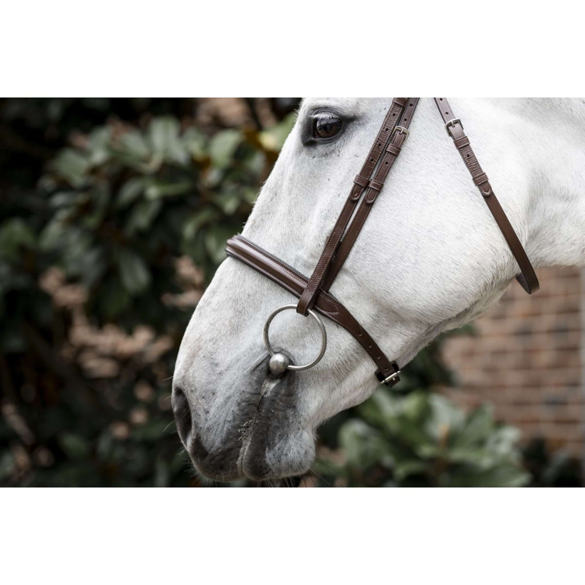 Horseware Bridle Cavesson Brown