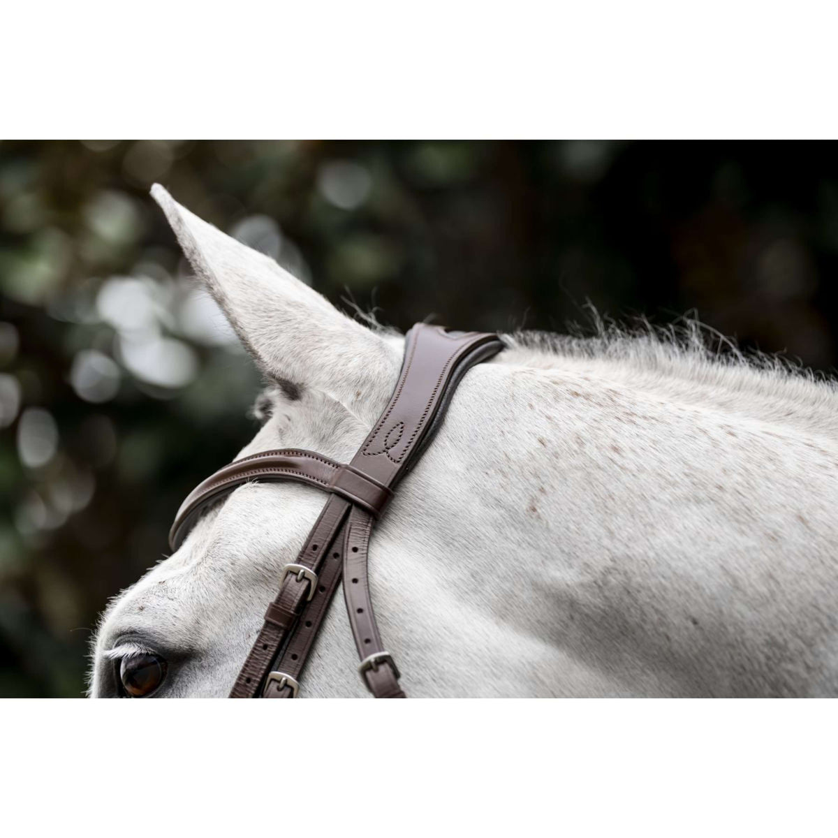 Horseware Bridle Cavesson Brown