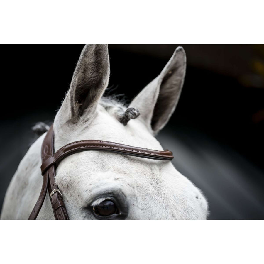 Horseware Bridle Cavesson Brown