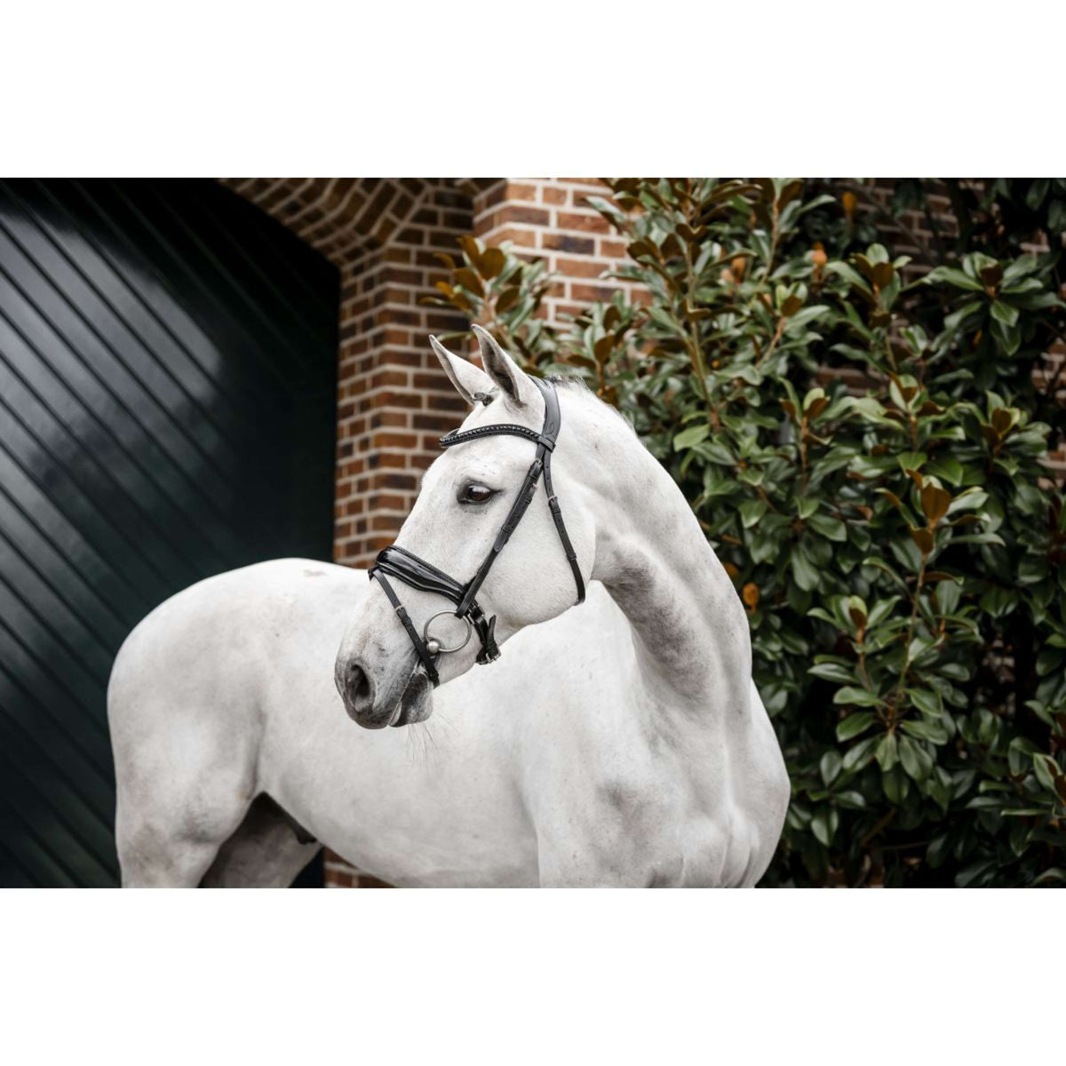 Horseware Bridle Diamante Black