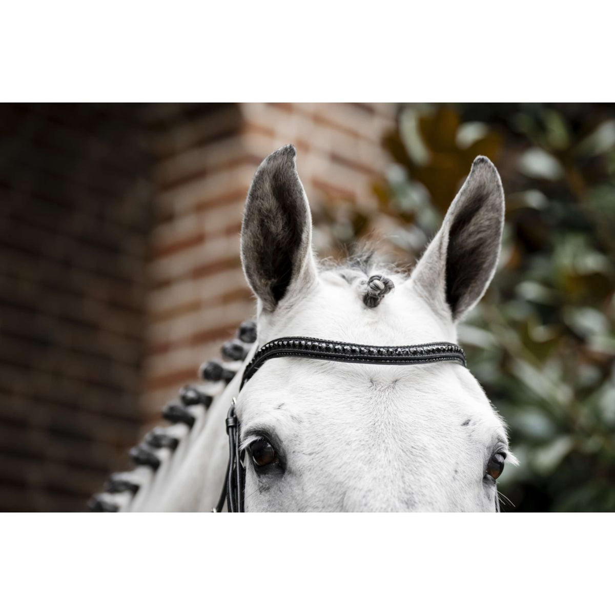Horseware Bridle Diamante Black