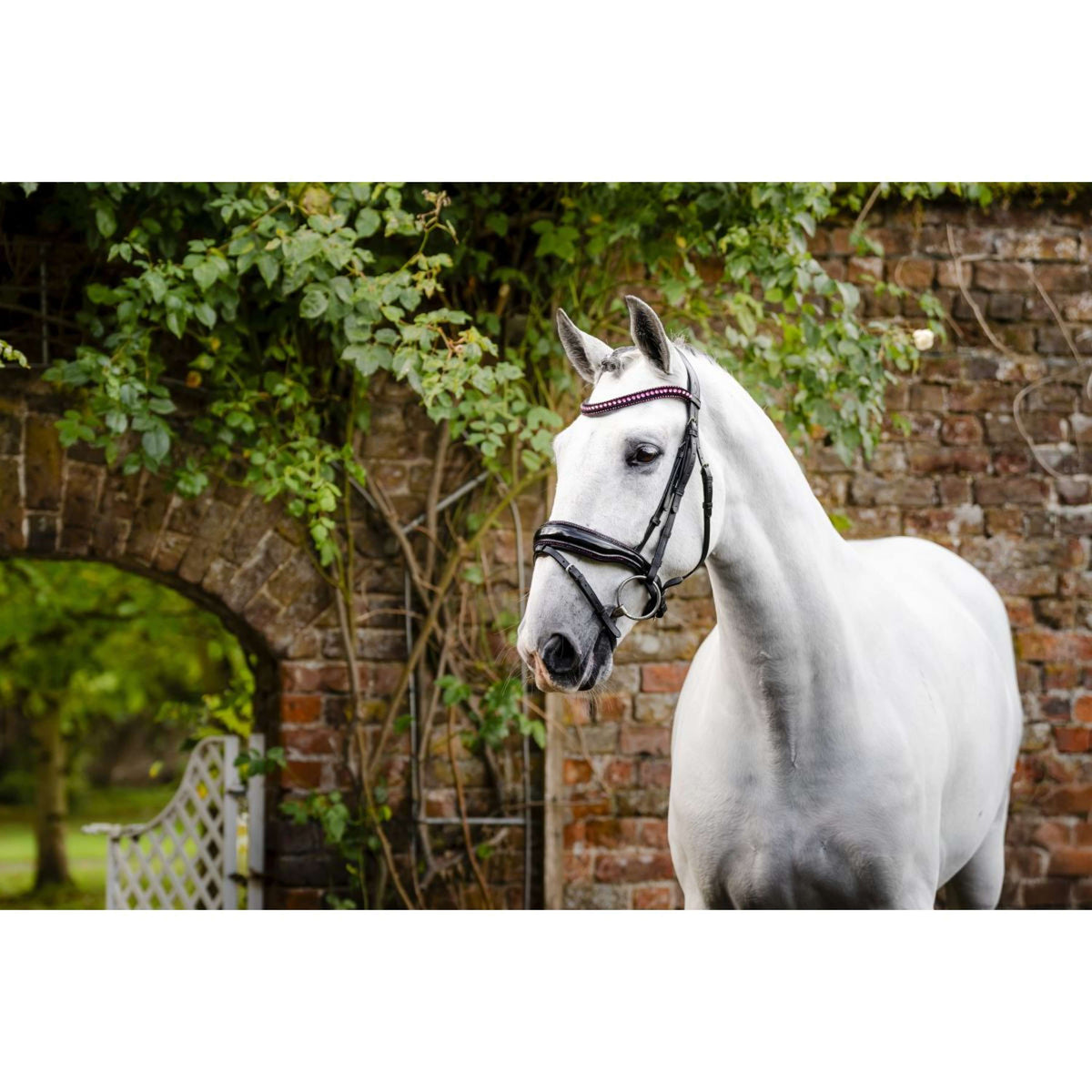 Horseware Bridle Diamante Black/Pink