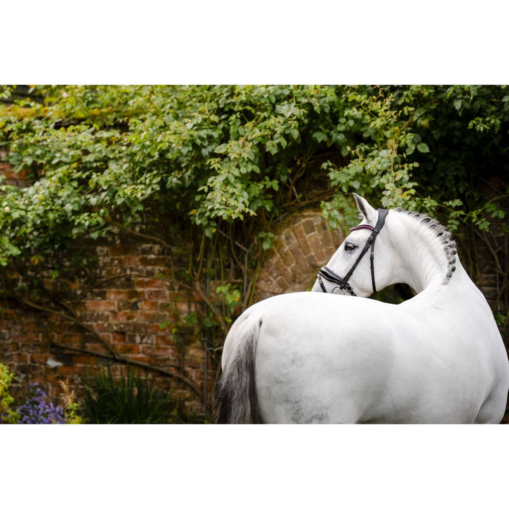 Horseware Bridle Pony Diamante Flash Black/Pink