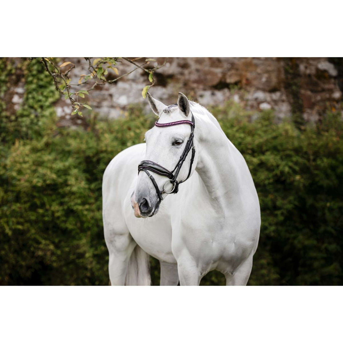 Horseware Bridle Diamante Black/Pink