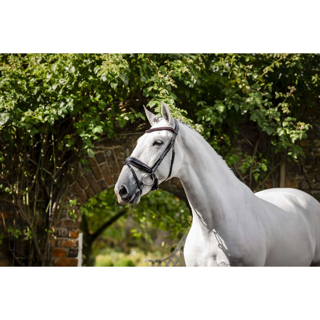 Horseware Bridle Pony Diamante Flash Black/Pink