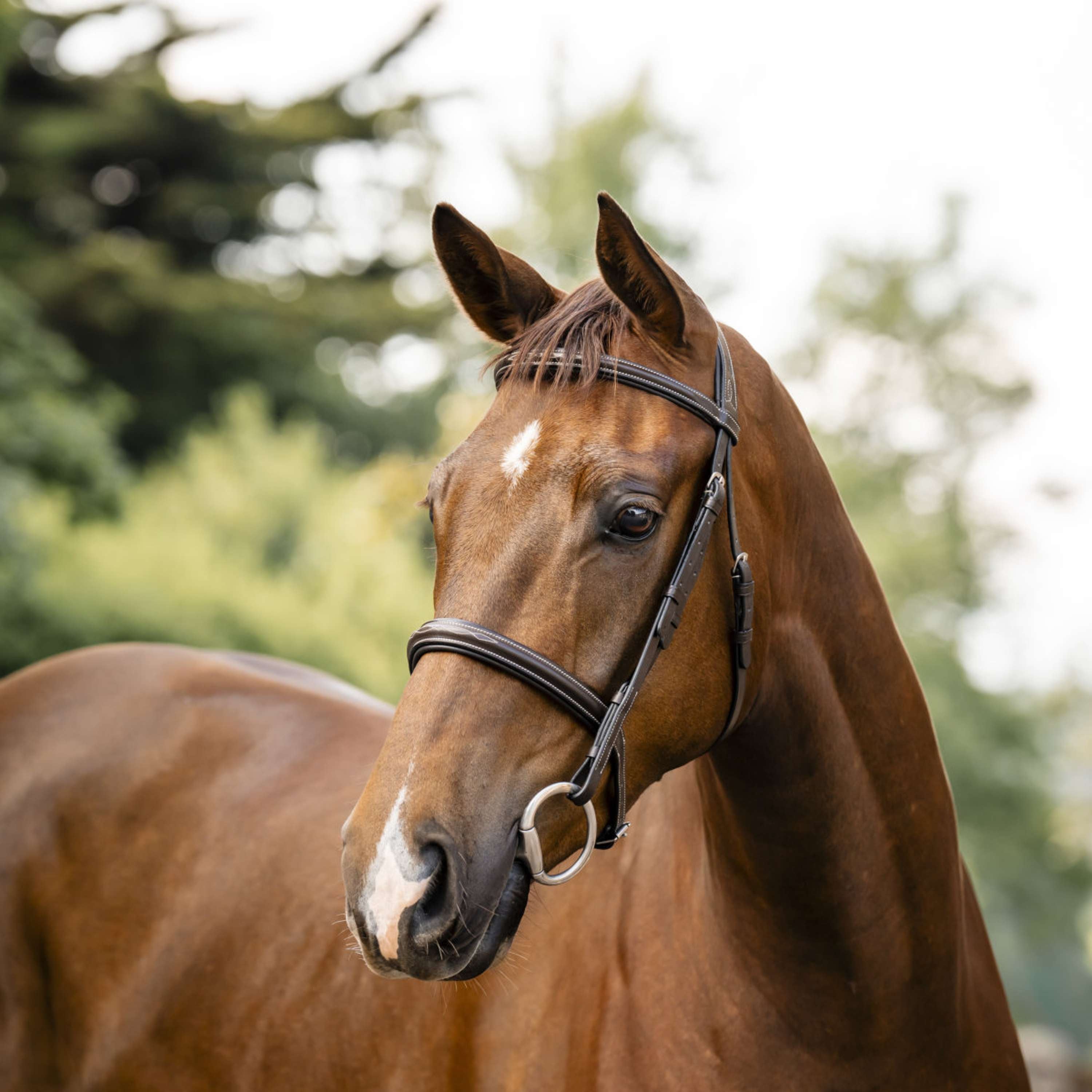 Horseware Bridle Hunter Havana Brown
