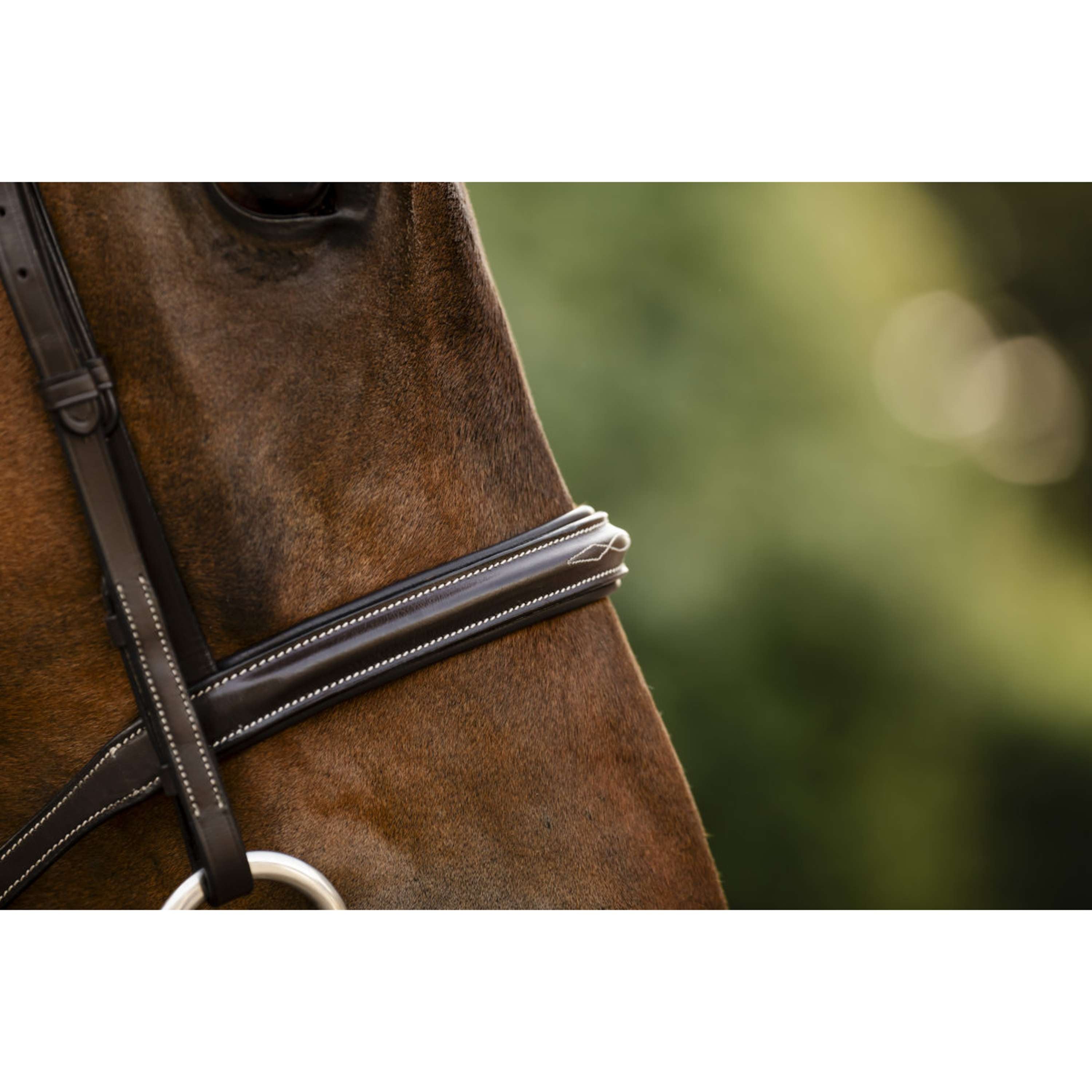 Horseware Bridle Hunter Havana Brown