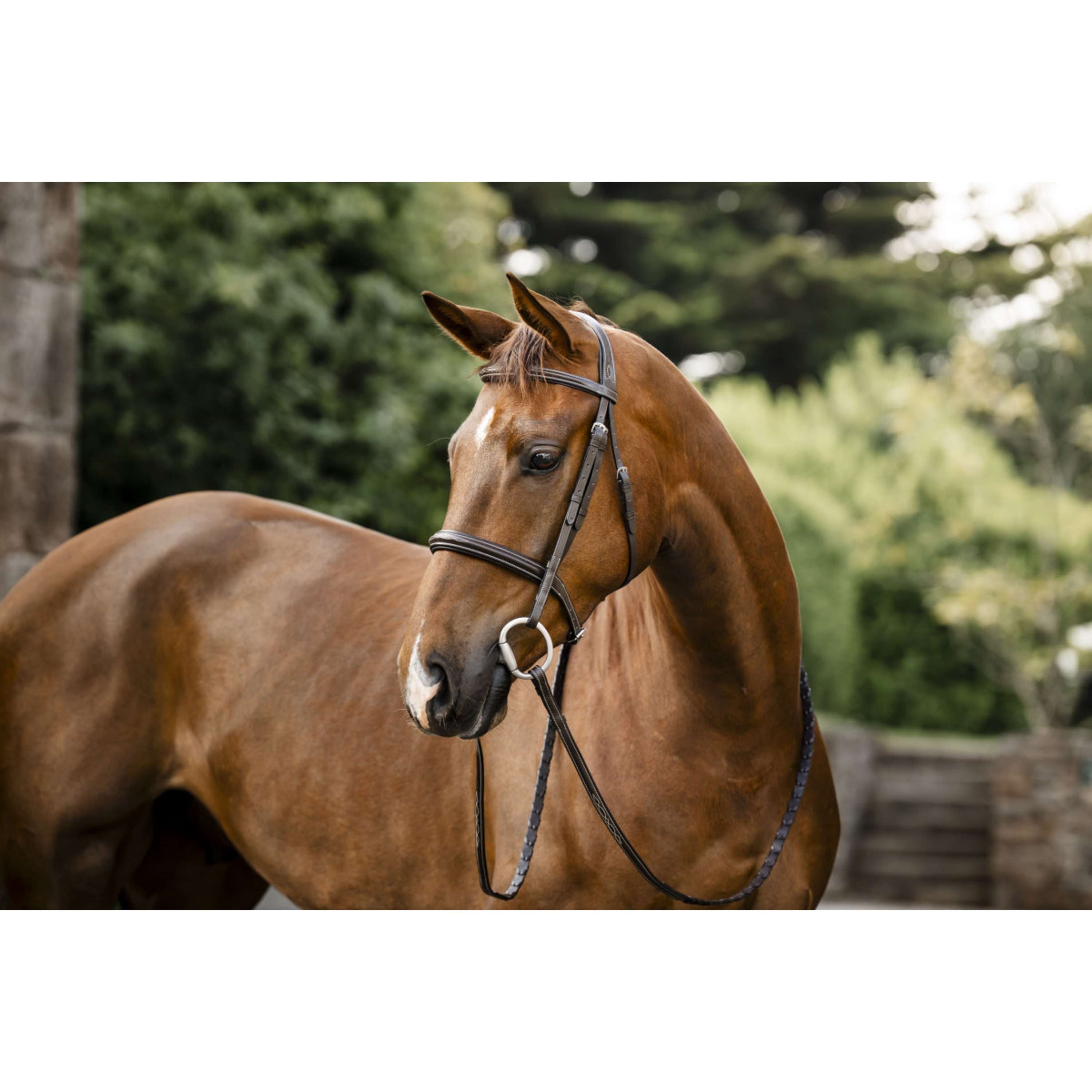 Horseware Bridle Hunter Havana Brown