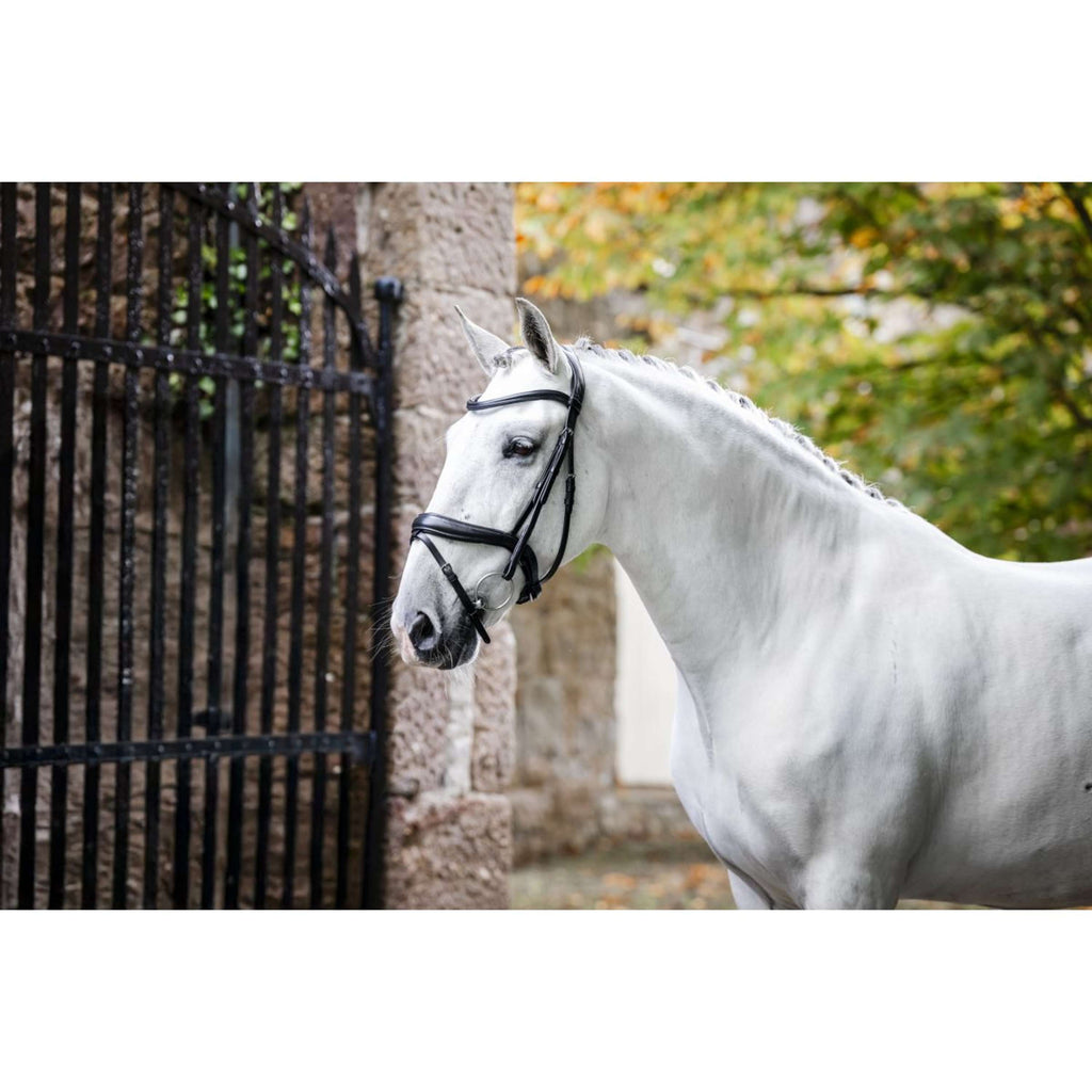 Horseware Bridle Dressage Black