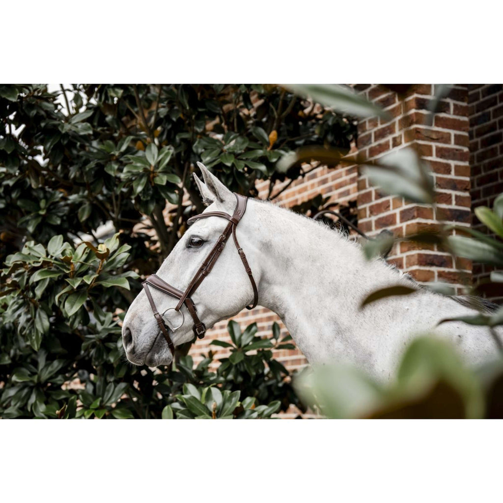 Horseware Bridle Pony Flash Brown