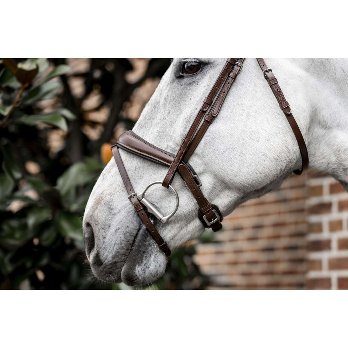 Horseware Bridle Dressage Brown