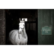 Rambo Micklem Bitless Bridle Black