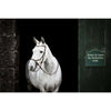 Horseware Micklem Bitless Bridle Brown