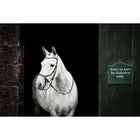 Horseware Micklem Bitless Bridle Brown