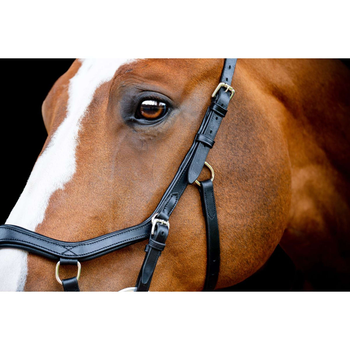 Rambo Micklem Competition Bridle New Black