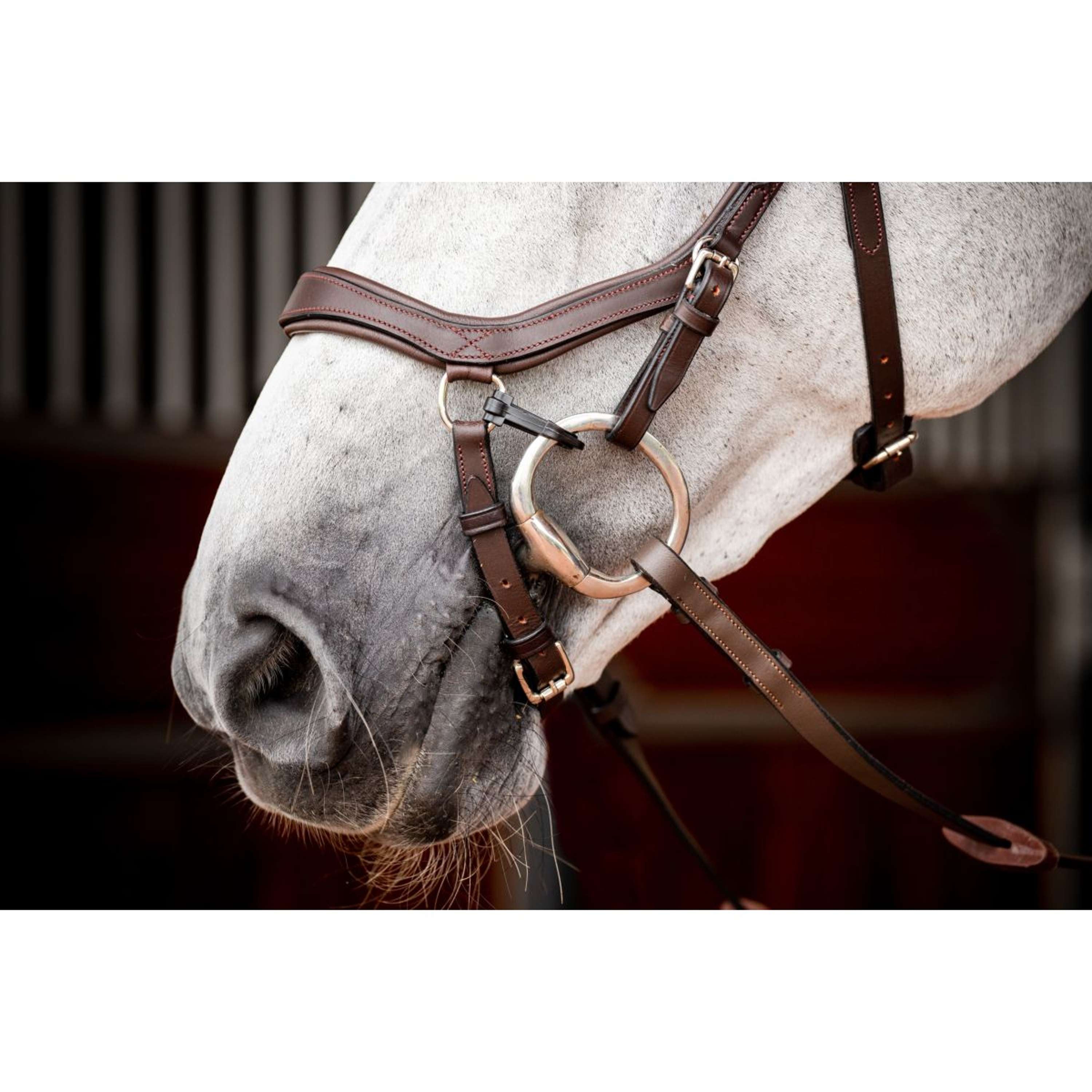 Horseware Micklem Competition Bridle New Dark Havana