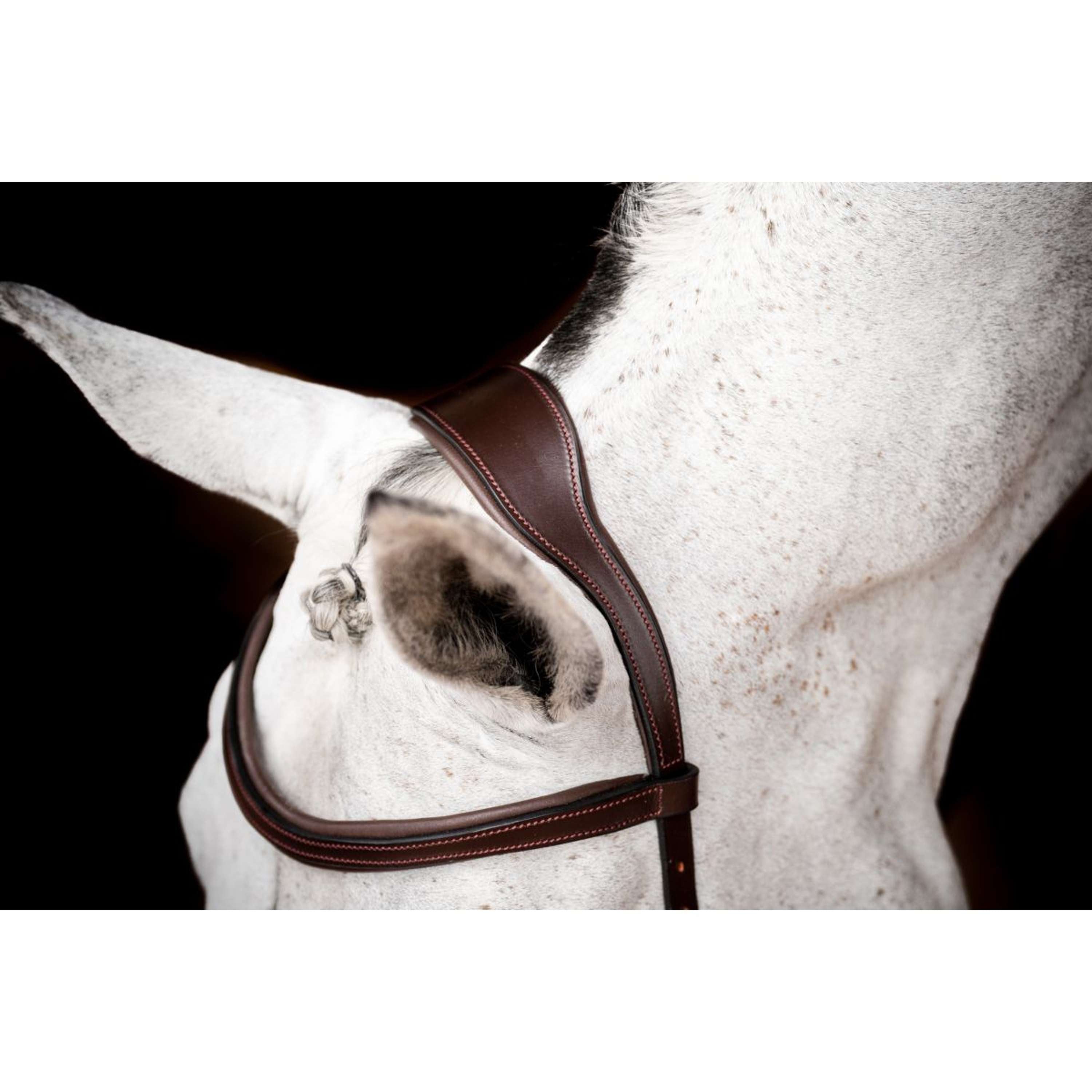 Horseware Micklem Competition Bridle New Dark Havana