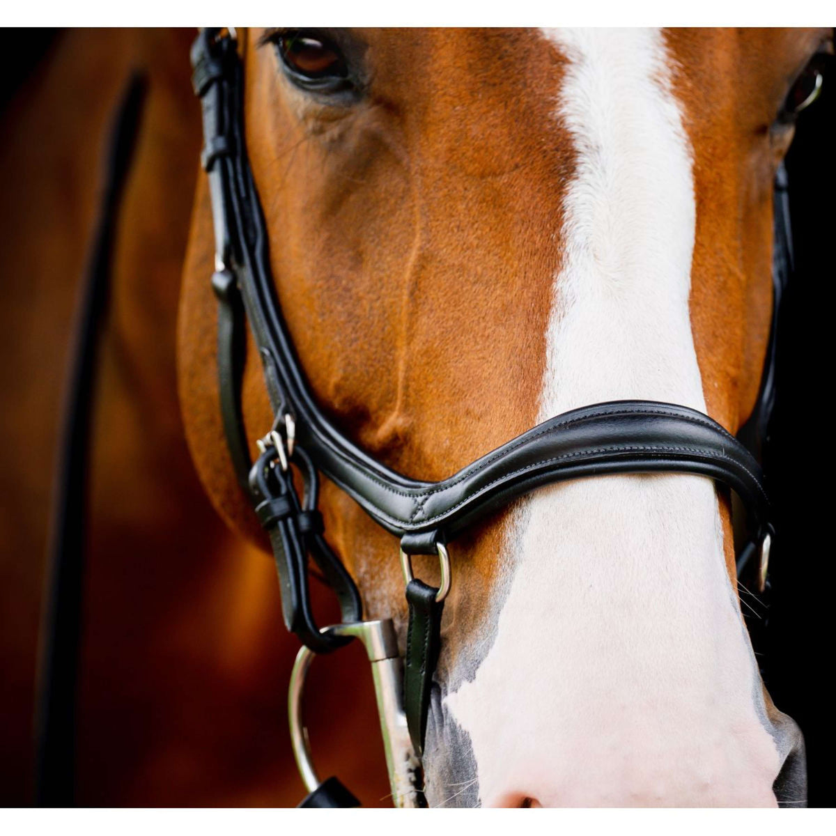 Rambo Micklem Diamond Competition Bridle New Black