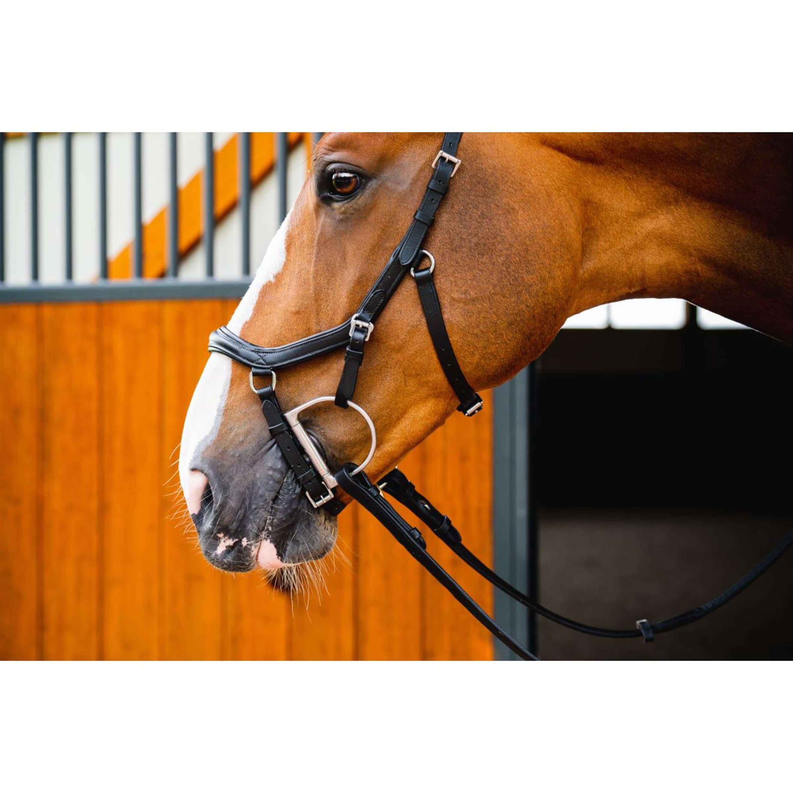 Rambo Micklem Diamond Competition Bridle New Black