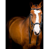 Rambo Micklem Deluxe Competition Bridle New Black