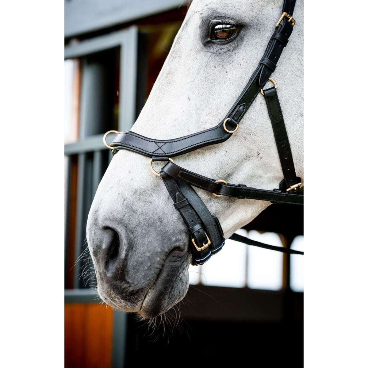 Horseware Micklem Multi Bridle New Black