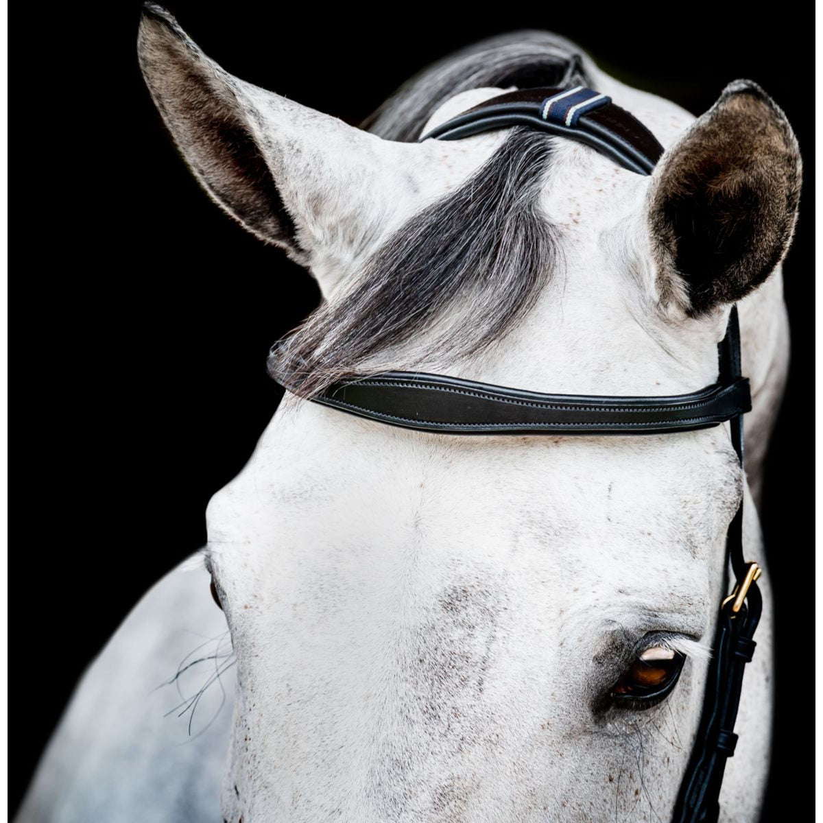 Horseware Micklem Multi Bridle New Black