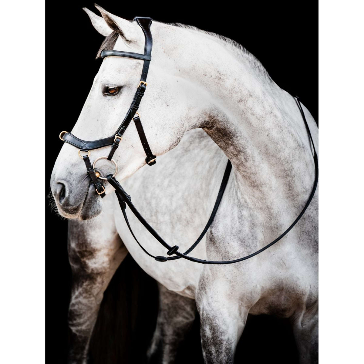 Rambo Micklem Multi Bridle New Black