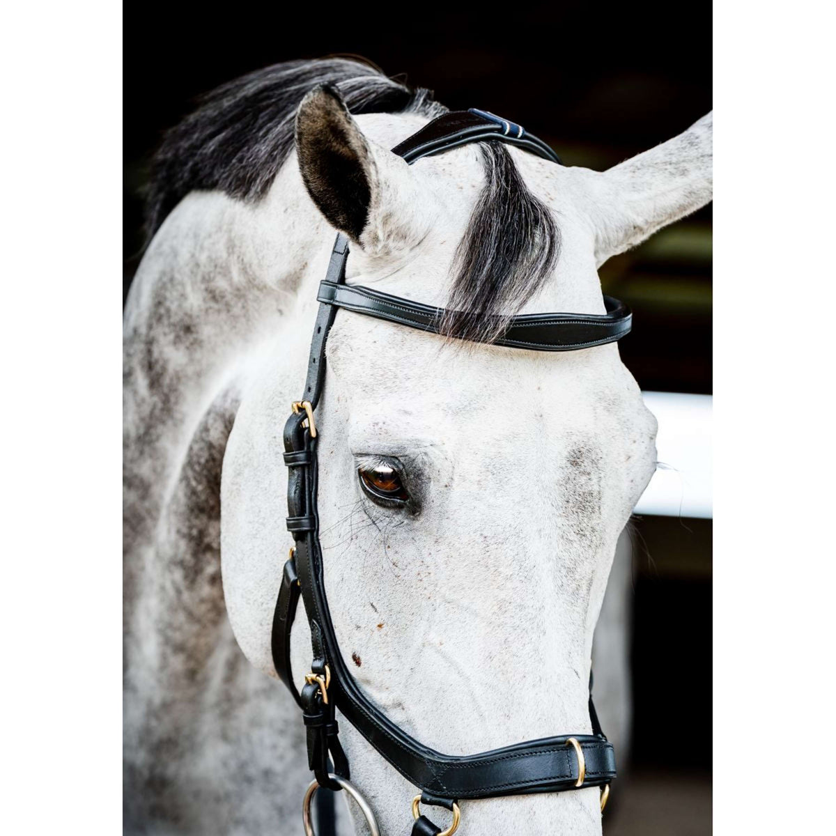 Rambo Micklem Multi Bridle New Black