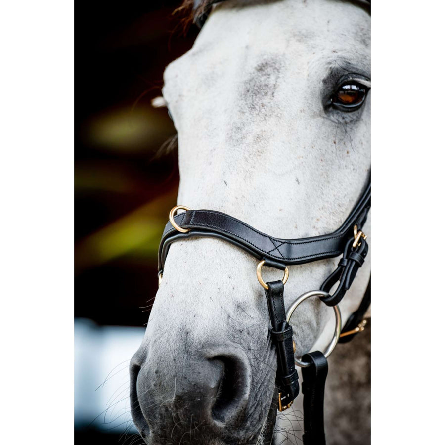 Horseware Micklem Multi Bridle New Black