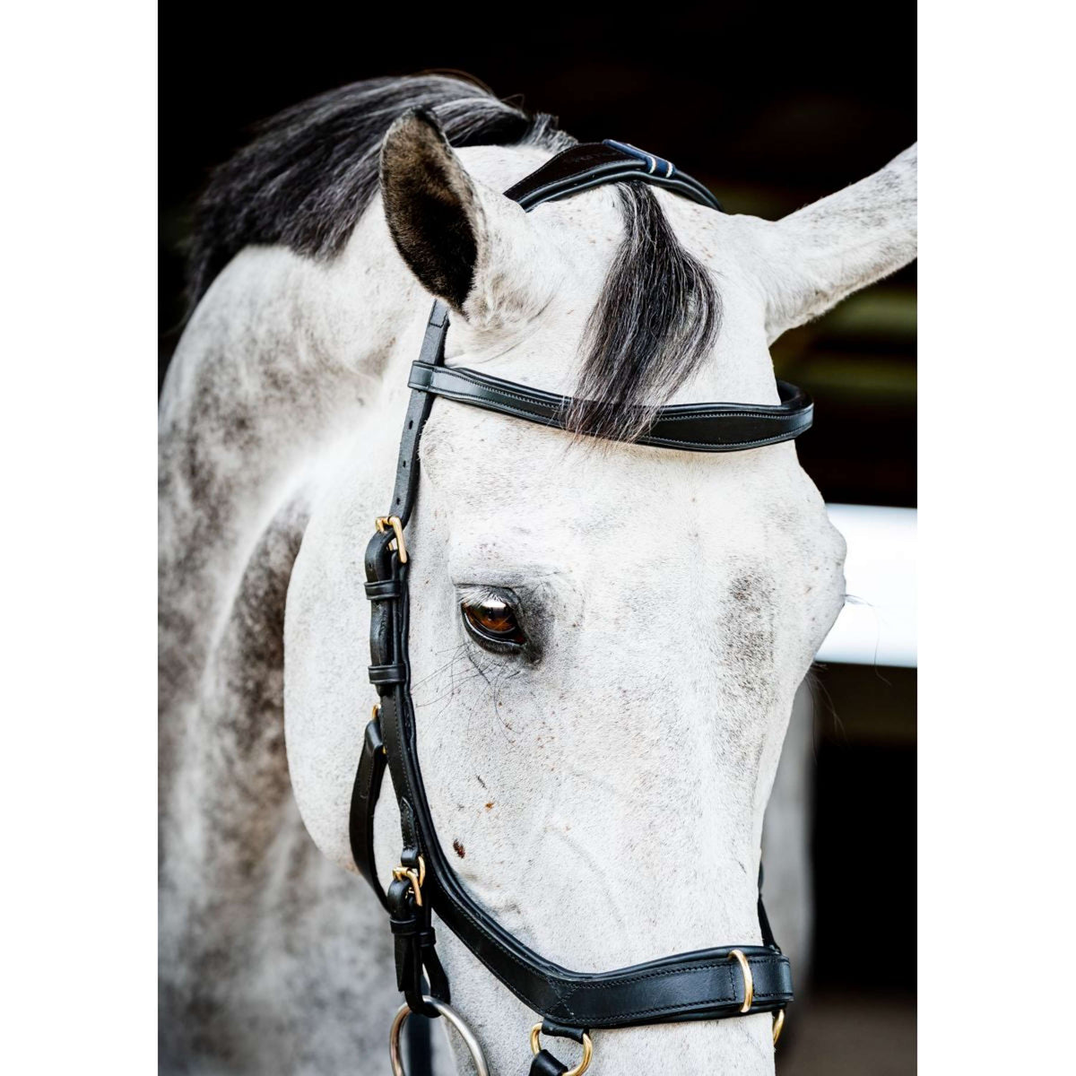Horseware Micklem Multi Bridle New Black
