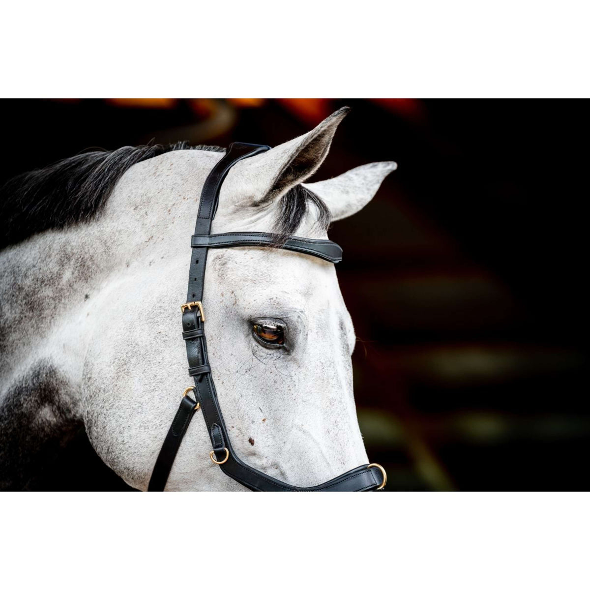 Horseware Micklem Multi Bridle New Black