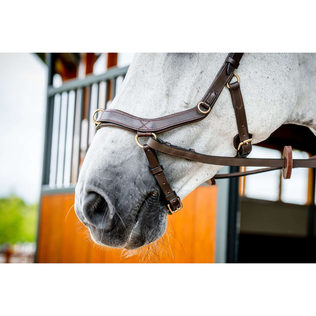 Horseware Micklem Multi Bridle New Dark Havana