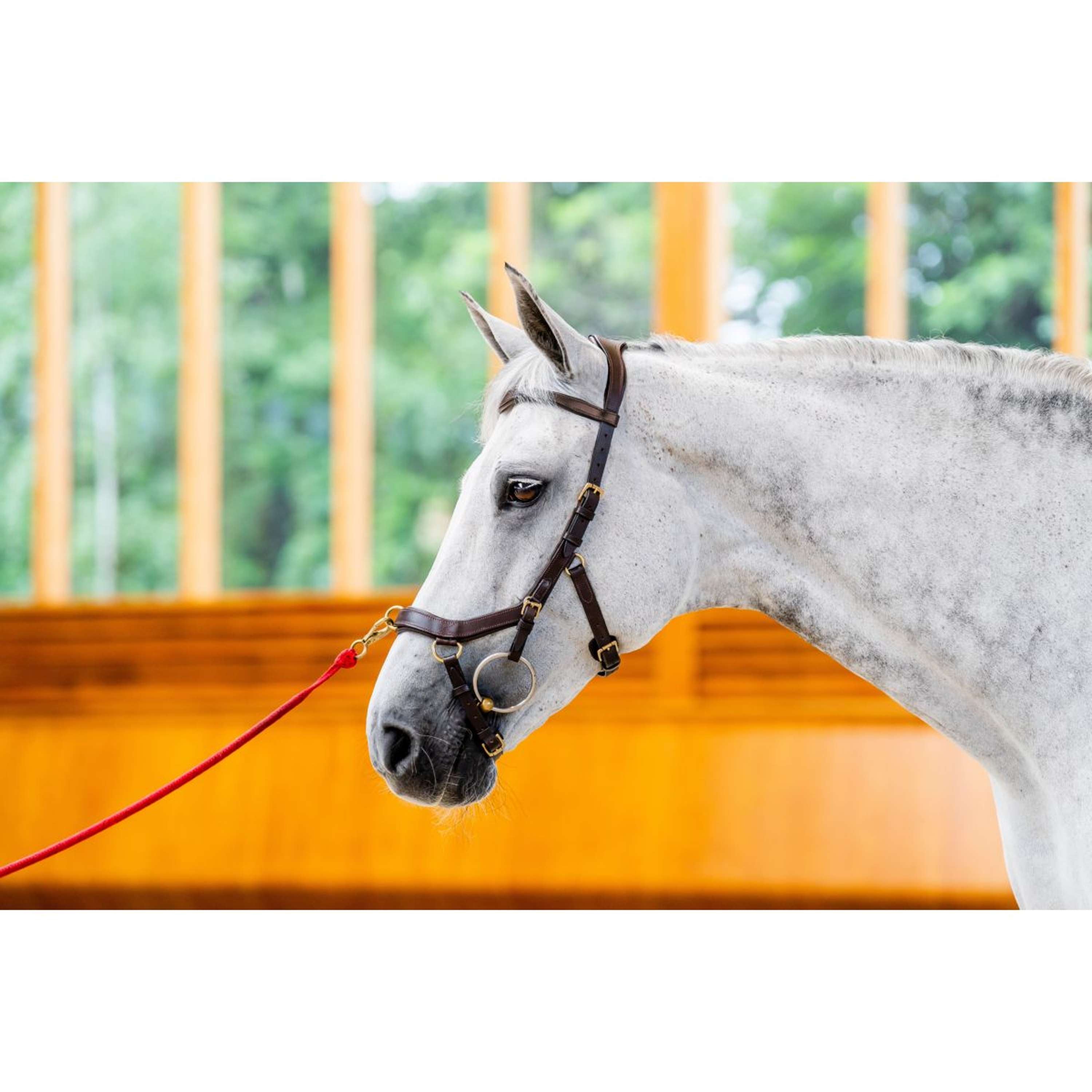 Horseware Micklem Multi Bridle New Dark Havana