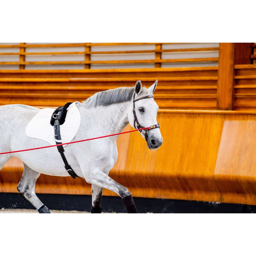 Horseware Micklem Multi Bridle New Dark Havana