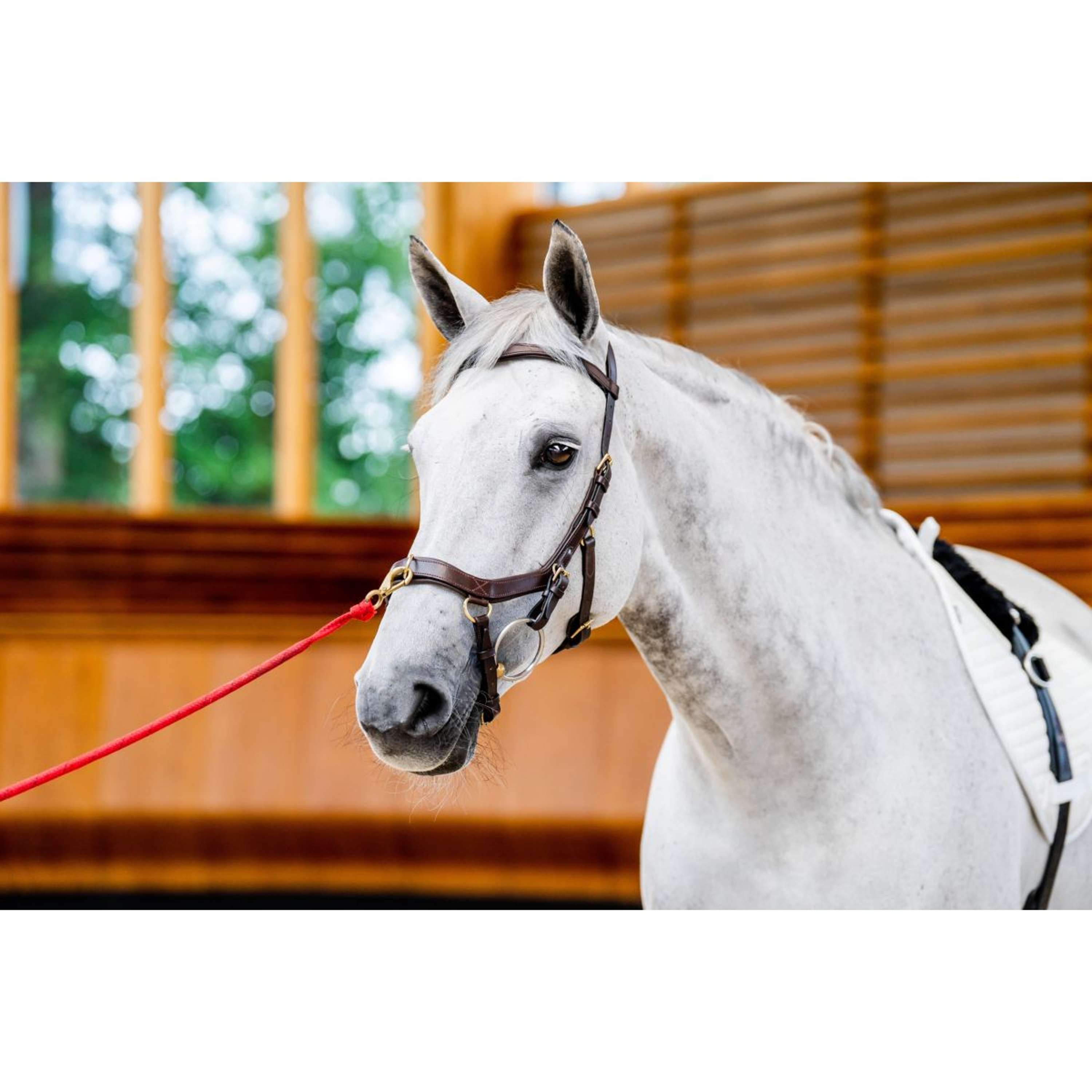Horseware Micklem Multi Bridle New Dark Havana