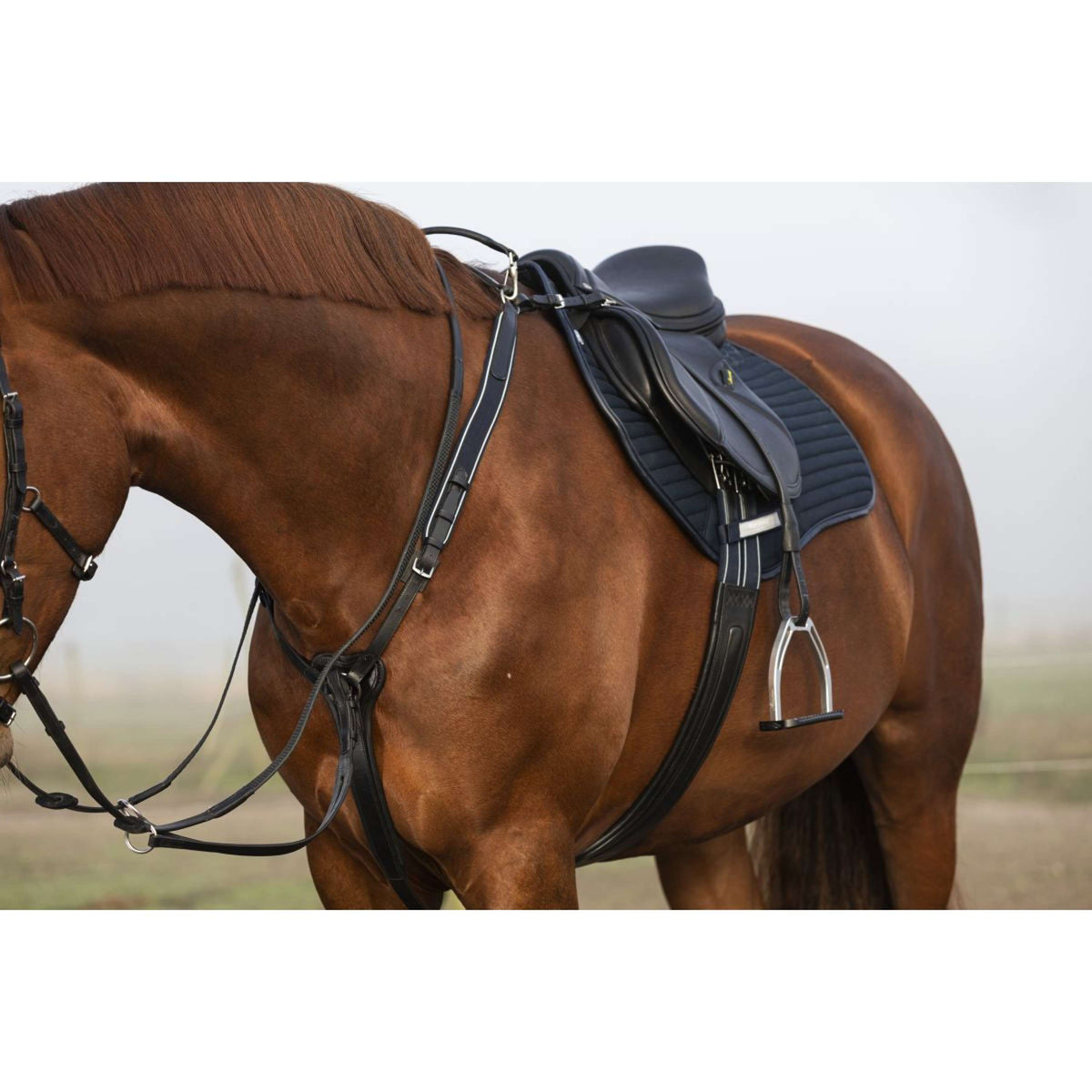 Rambo Micklem Chest Buckle with a Martingale Black