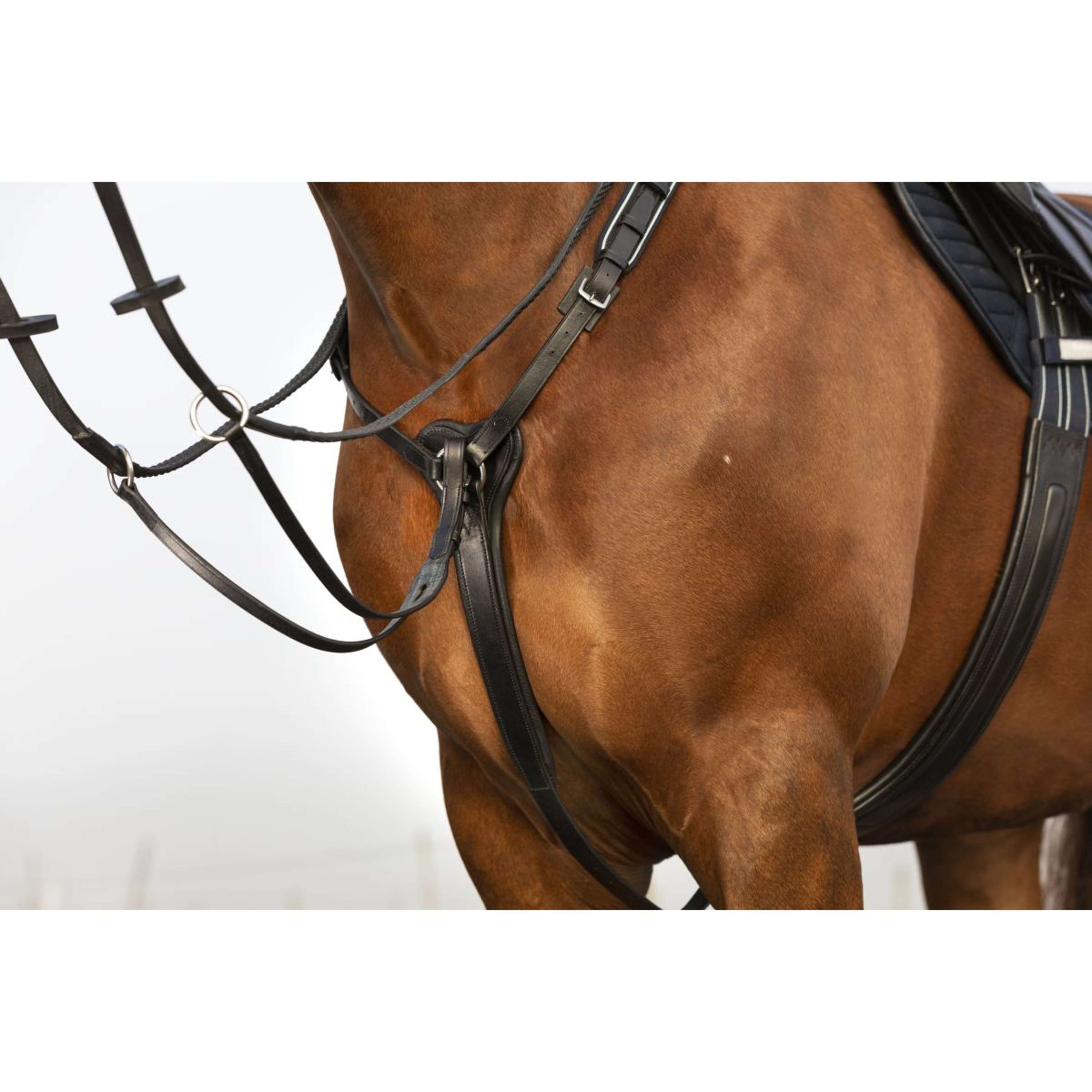 Rambo Micklem Chest Buckle with a Martingale Black Rambo Micklem Chest Buckle with a Martingale Black