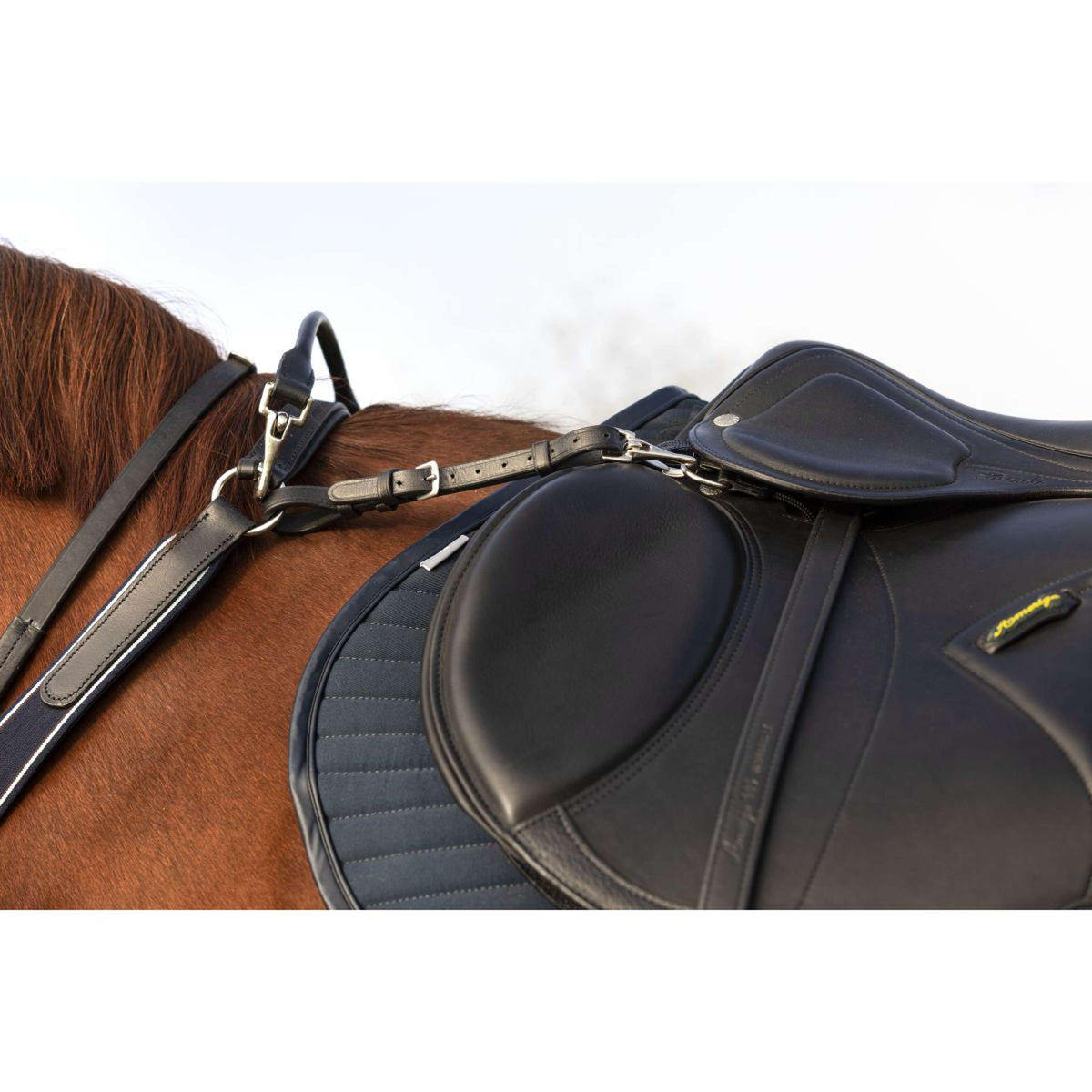 Rambo Micklem Chest Buckle with a Martingale Black