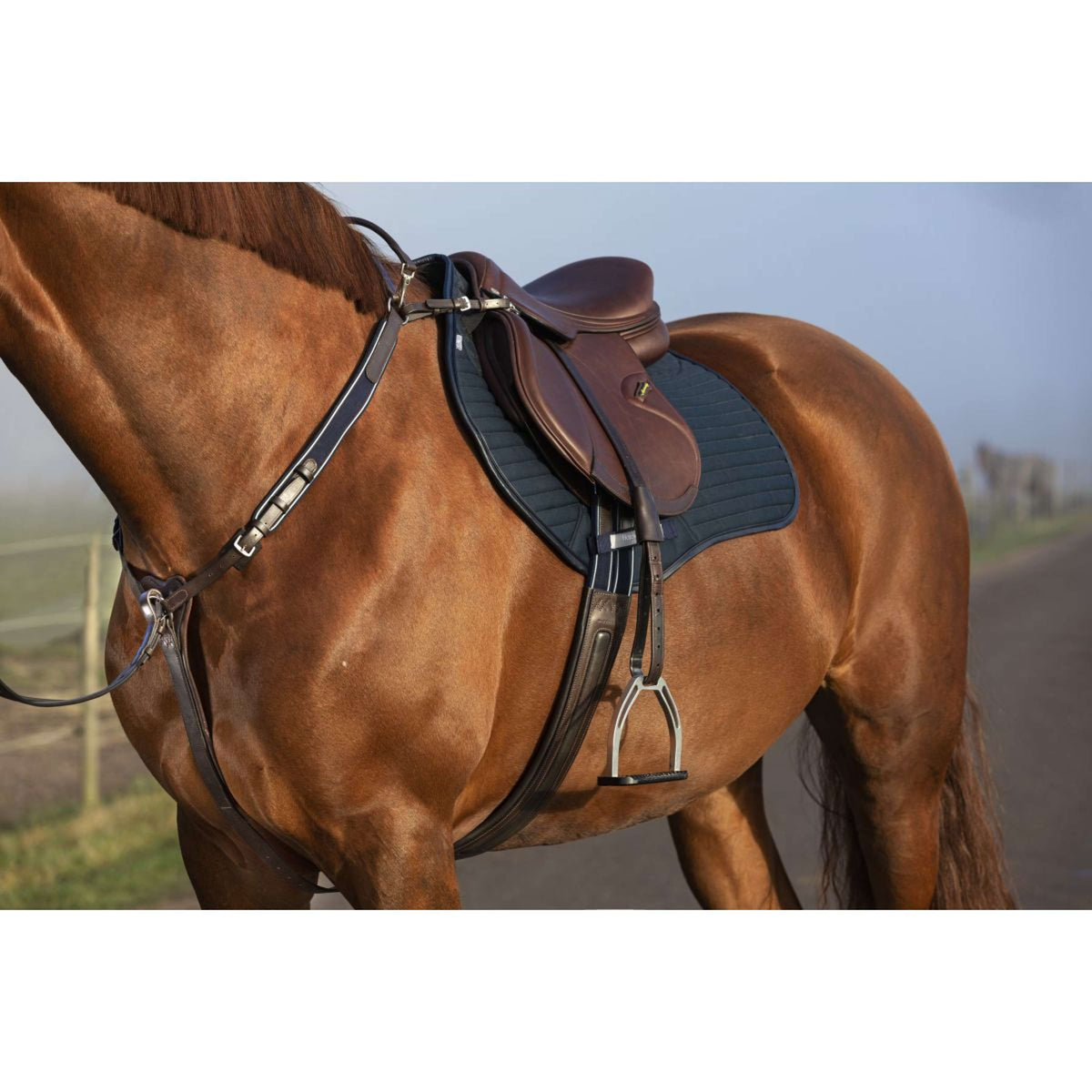 Rambo Micklem Chest Buckle with a Martingale Brown