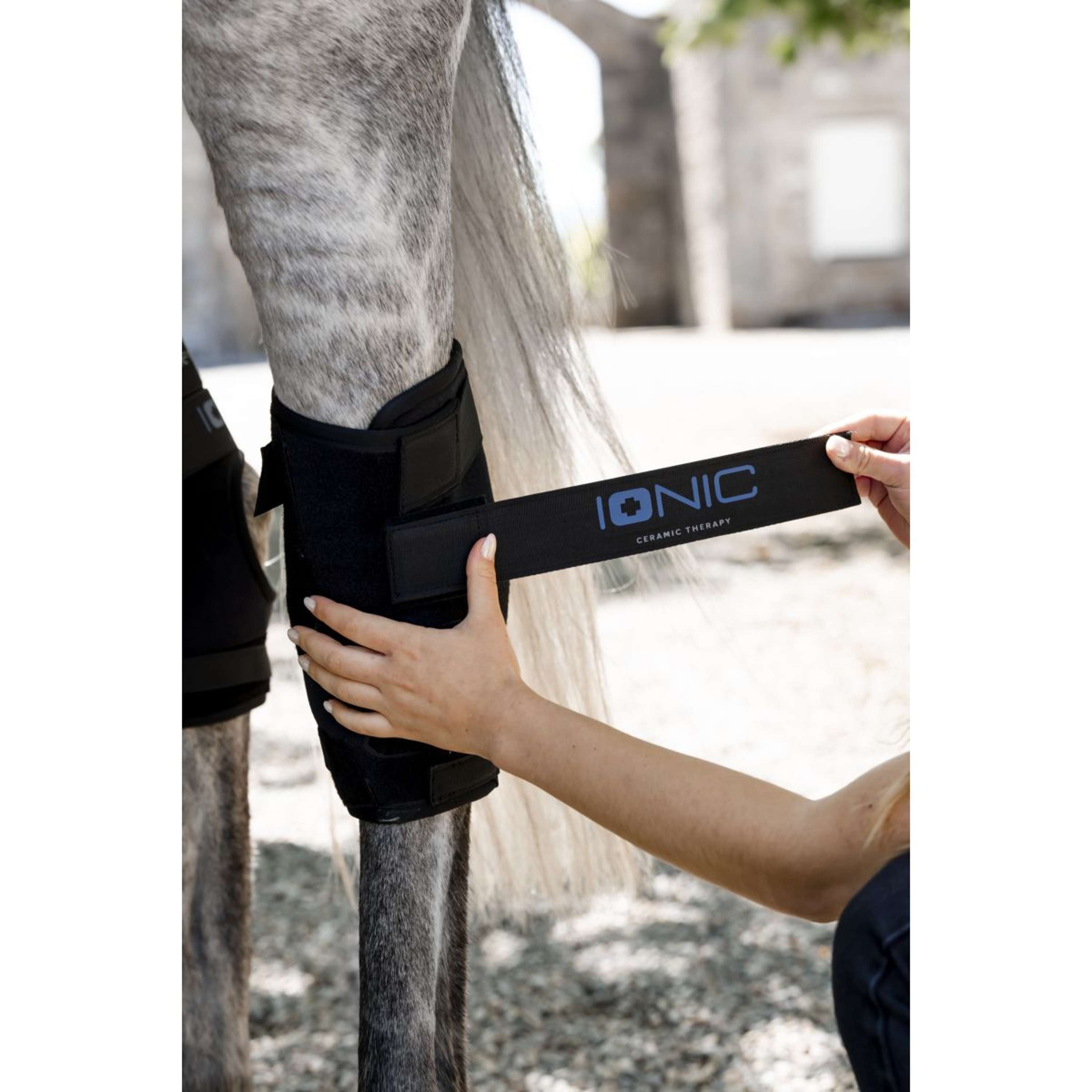 Horseware Hock Boots Ionic Set of 2 Black
